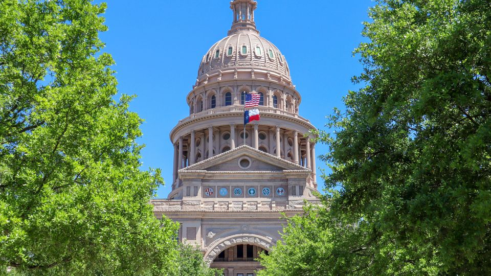 The Texas state capital building dome on a sunny day, peaking out behind some trees.