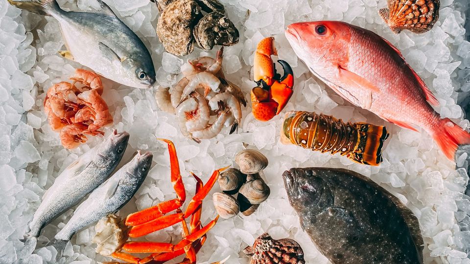 Assorted fresh seafood including fish, shrimp, crab and shellfish displayed on ice.