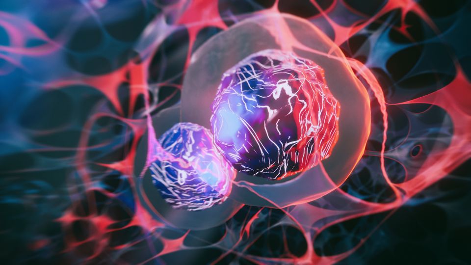Two cells floating in front of a black and red "electrical" style background.
