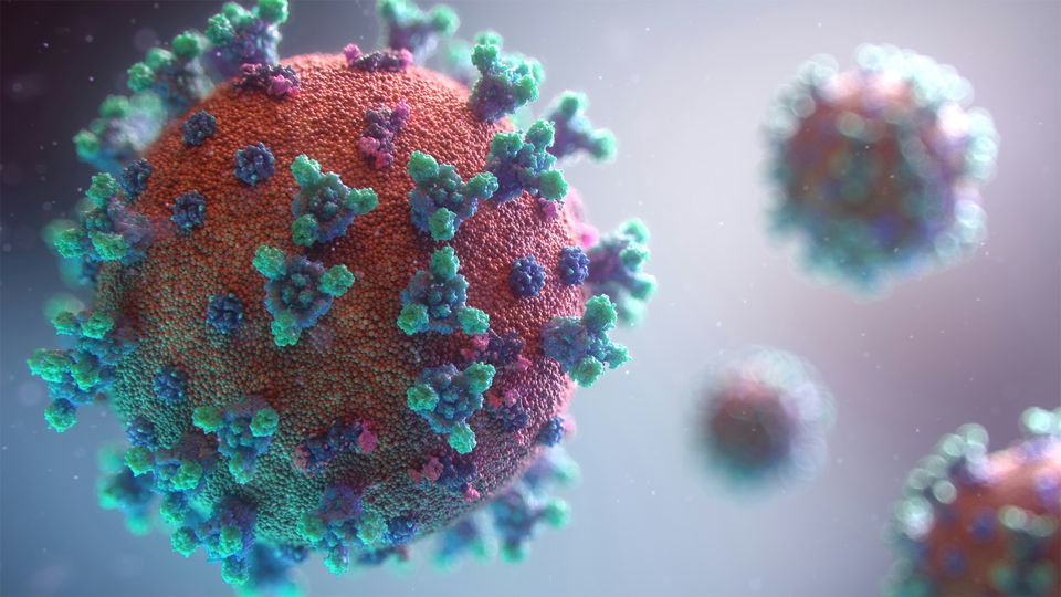 SARS-CoV-2 virus, the target of a repurposed anti-allergy nasal spray.