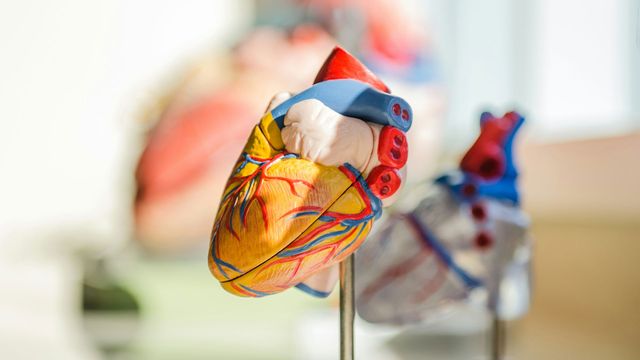 How Diabetes Alters Heart Shape: New Study Insights into Cardiac Remodeling in Diabetic Patients