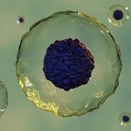 Group of human cells floating on a light green background. 