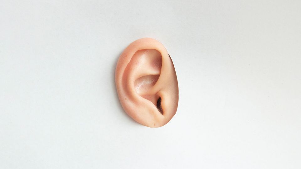 Close-up of a human ear model on a white background representing hearing.