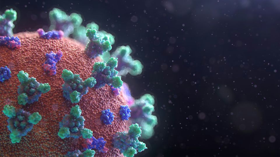 Close up of SARS-CoV-2, the virus responsible for the COVID-19 pandemic.