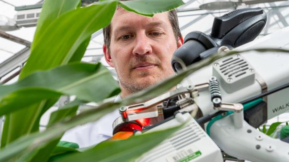 Researcher using an infrared gas analyzer to study plant photosynthesis in a greenhouse.