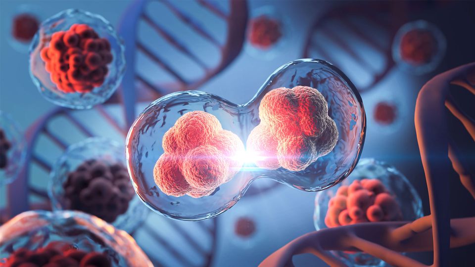 Cells dividing, with DNA strands in the background.