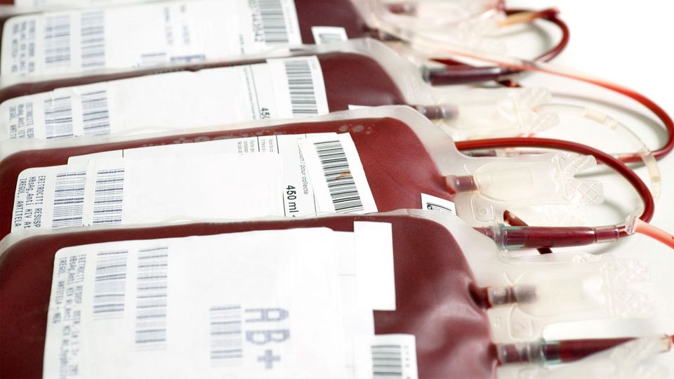 Blood donation bags.