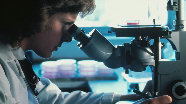 https://assets.technologynetworks.com/production/dynamic/images/content/404444/european-scientists-receive-761m-in-funding-404444-640x360.jpg?cb=20250905