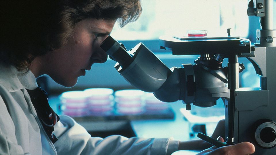 Profile shot of a Caucasian female scientist looking through an inverted microscope at cells that have been grown in culture media.