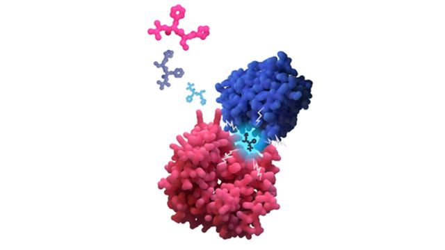 3D rendering of two protein molecules with three small drug molecules floating around and one fitting into a pocket within the proteins. 