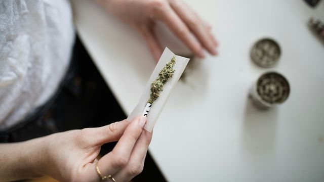 Woman rolling cannabis joint with dried marijuana on paper at a table. 