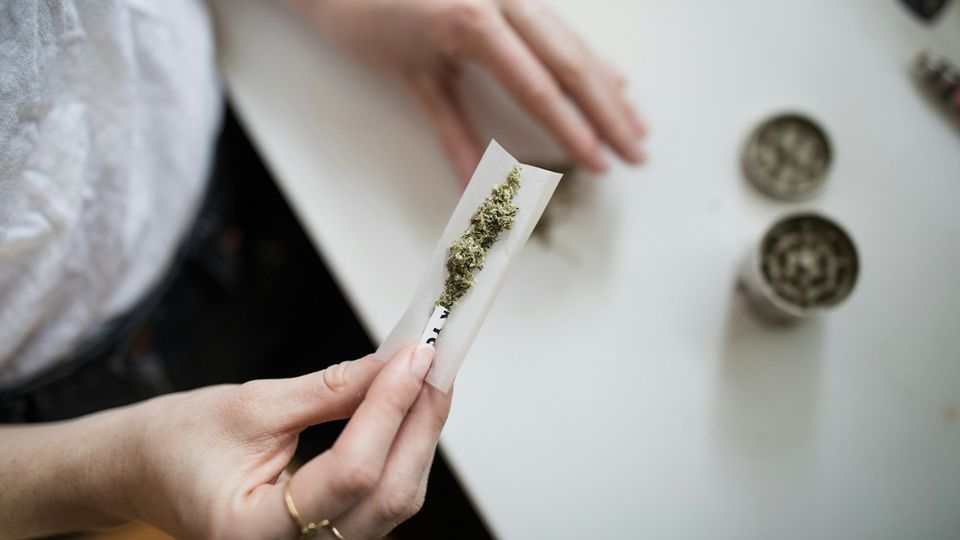 Woman rolling cannabis joint with dried marijuana on paper at a table.