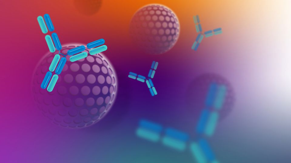 Abstract illustration of antibodies interacting with cell-like structures, symbolizing advanced immunoassay workflows