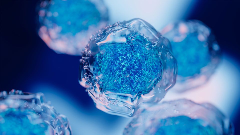 A cell with a transparent membrane and blue rippling inner, illustrating cellular stress.
