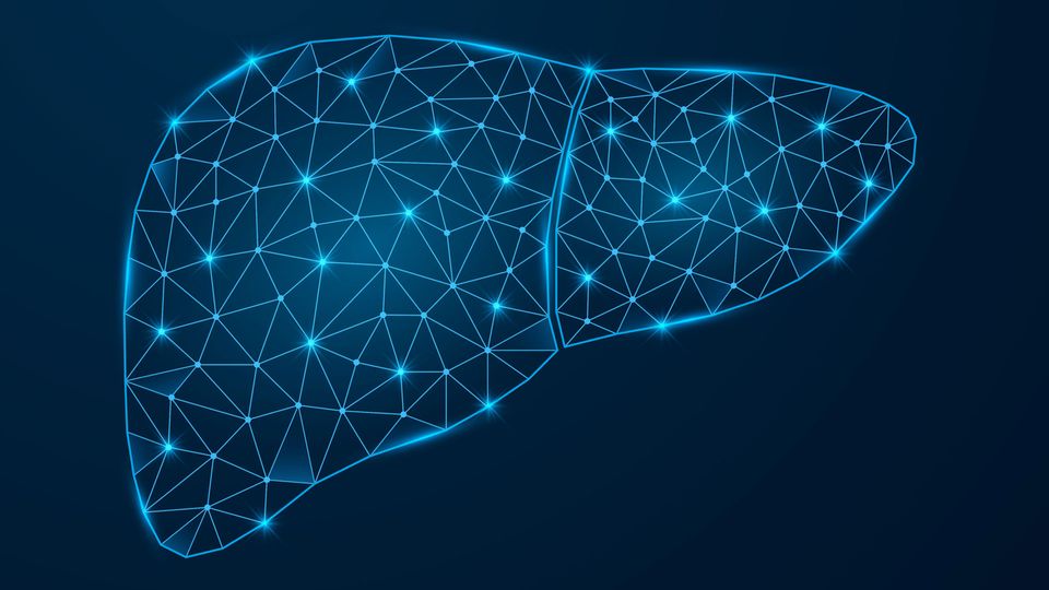 The outline of a liver, filled with interconnected data points, illustrating molecular connections in liver disease.