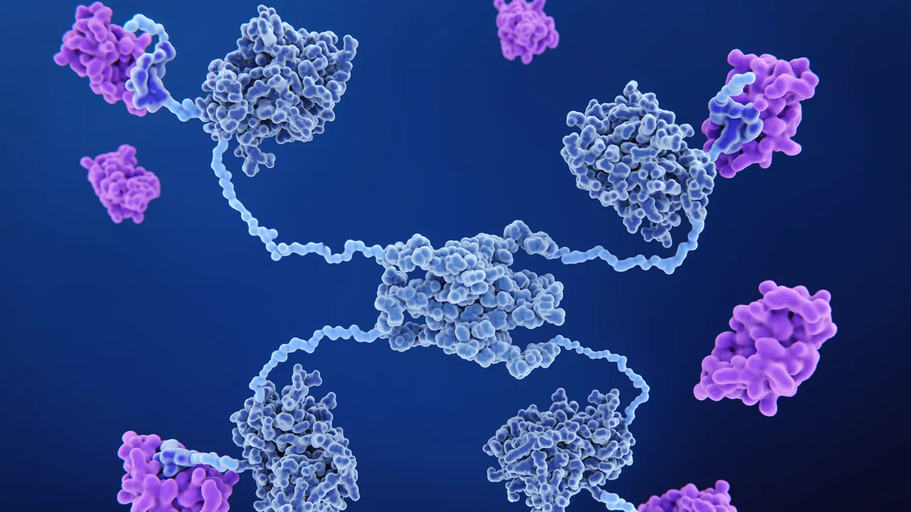 Six Proteins Scientists Are Targeting To Slow Aging