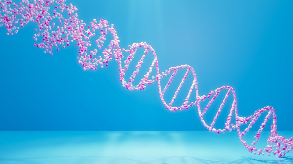 A DNA double helix in pink, against a light blue background.