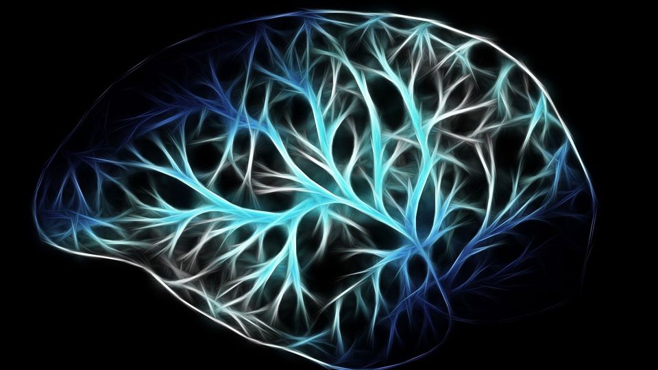 The outline of a brain, filled with branching structures that illustrate brain cell growth and the restoration of blood flow.