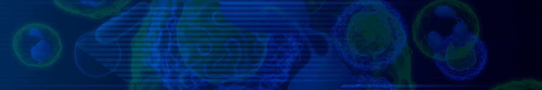 Illustration of eosinophils interacting with blood cells, used in immunology and cell biology research 