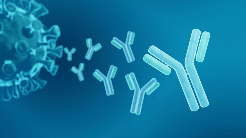 3D illustration of antibodies targeting a virus particle, representing immune response research