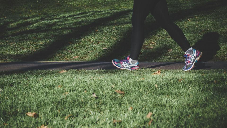 A pair of legs and trainers jog on a park path. 
