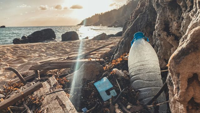 A plastic two-litre bottle, empty, speckled with water droplets on its inside, among detritus in a beach cove. Setting/Rising sun in background over the sea. 