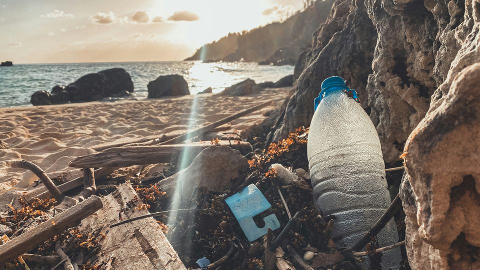 A plastic two-litre bottle, empty, speckled with water droplets on its inside, among detritus in a beach cove. Setting/Rising sun in background over the sea.