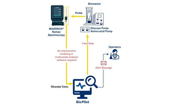 Workflow diagram of Yokogawa’s OpreX Bio Pilot system integrating Raman spectroscopy and bioreactor control. 