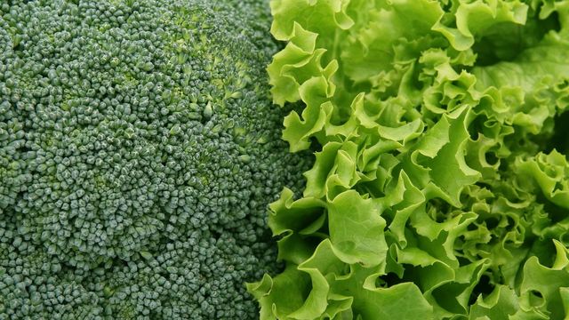 Green Vegetables Improve Blood Sugar Control