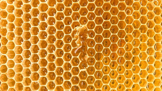 A yellow and orage honeycomb lattice, its hexagonal shape pattern slightly broken in the centre of the frame. 