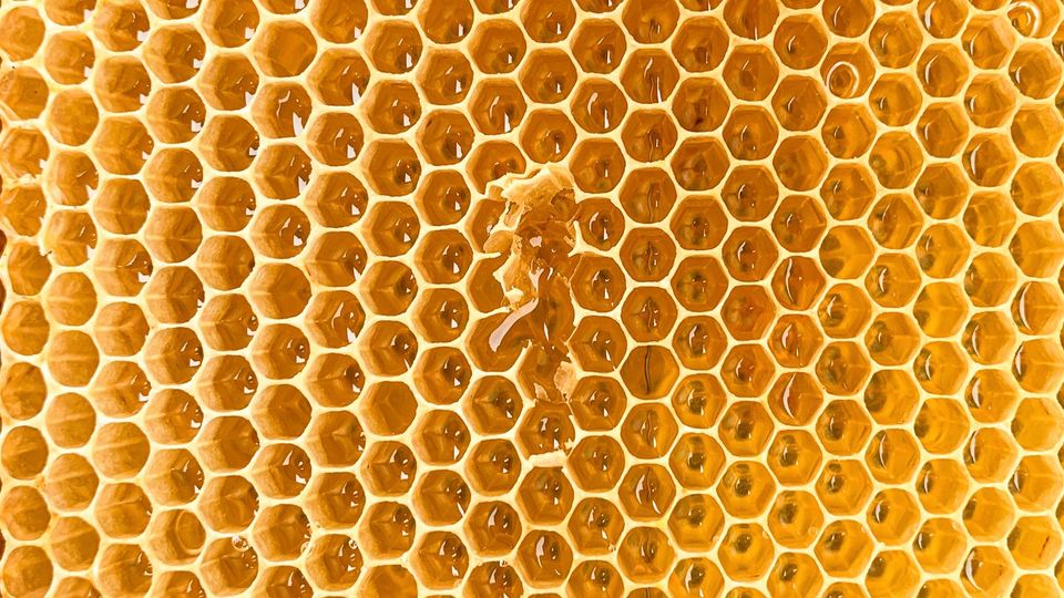 A yellow and orage honeycomb lattice, its hexagonal shape pattern slightly broken in the centre of the frame.