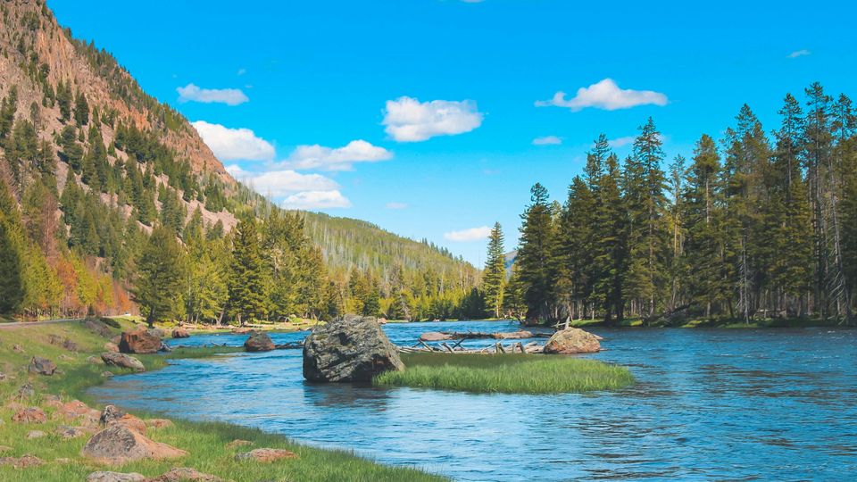 A picturesque North American river, conifers lining the riverside. Clear sky.