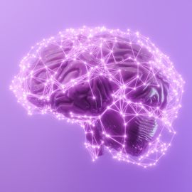 Neuronal Excitability Guides Brain's Slow Sleep Waves | Technology