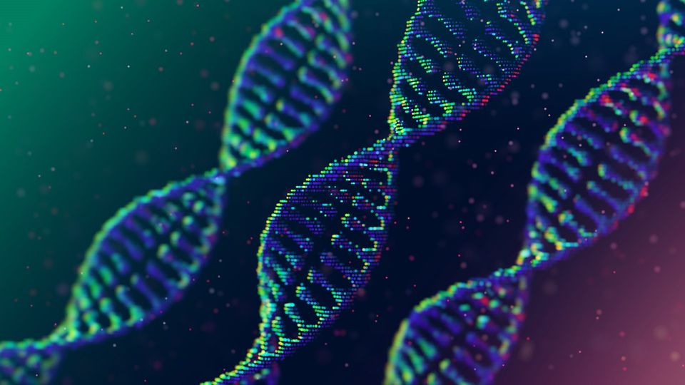 Three DNA double helix, with a red and blue aberration effect so that they look slightly glitchy.