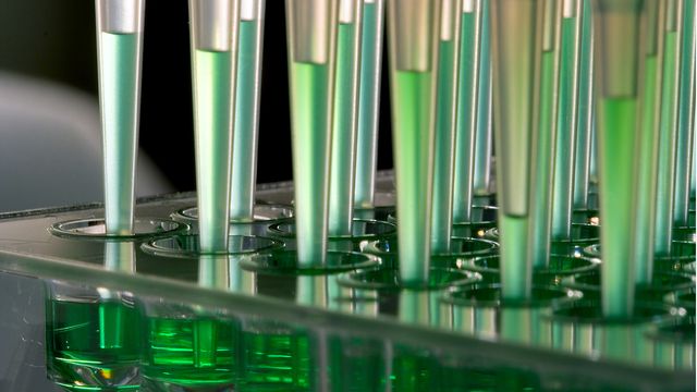 Close-up of pipette tips dispensing green liquid into a microplate for high-throughput screening. 
