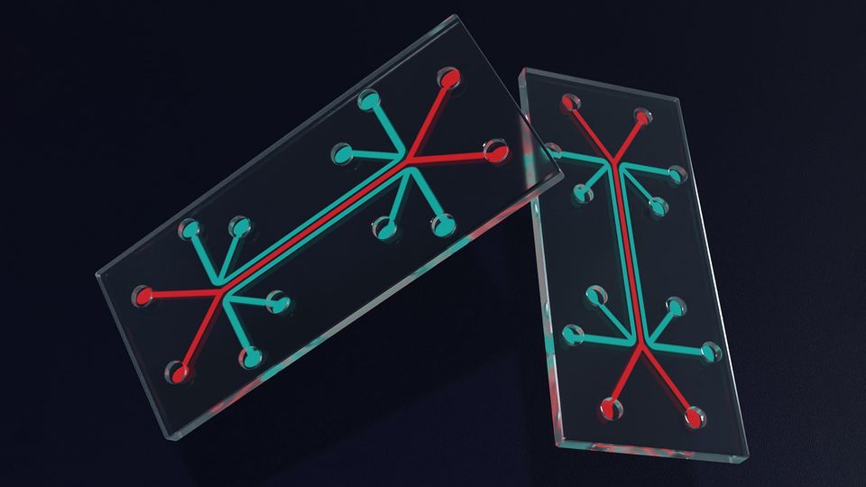 An example of an organ-on-a-chip device against a black background.