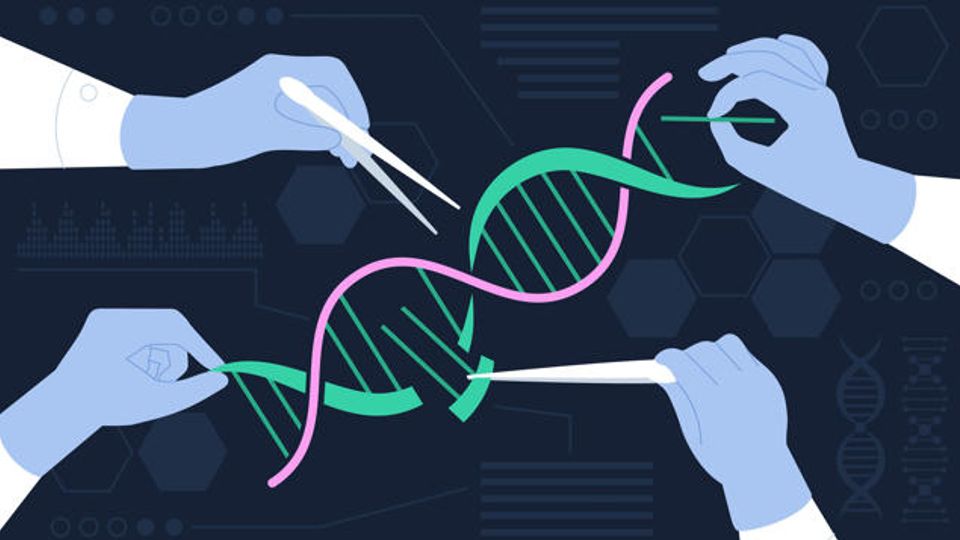 3D molecular model of RNA double helix structure used in RNA screening research.