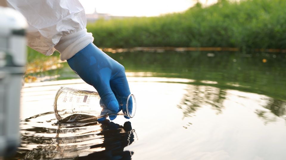 A gloved hand holds a beaker to the still surface of water. Green grass in background.