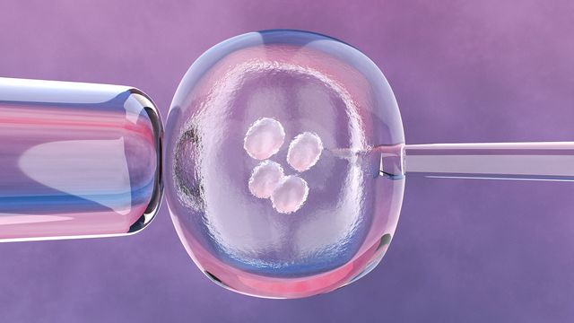 3D illustration of a pipette injecting material into a cell, symbolizing cell therapy. 
