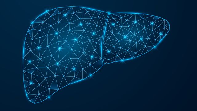 Digital model of a human liver glowing on a dark blue background. 