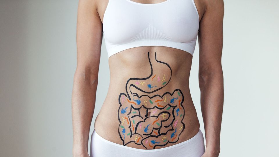 A person with a drawing of the stomach and intestines on their midriff.