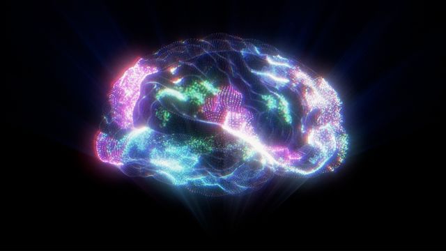 An outline of a human brain in neon colors, representing the brain on psychedelics. 