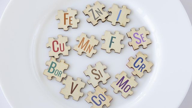 A plain white plate with jigsaw pieces laid on top of it that feature the names of micronutrients. 