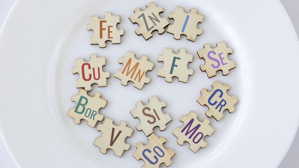 A plain white plate with jigsaw pieces laid on top of it that feature the names of micronutrients.