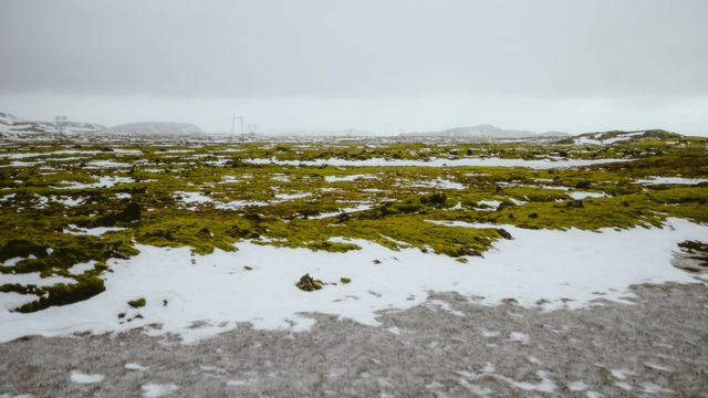 Researchers Wake Microbes Trapped in Permafrost for Thousands of Years
