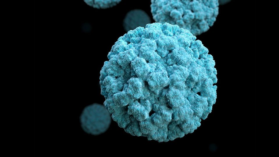 A colorized microscope image of a norovirus virion.