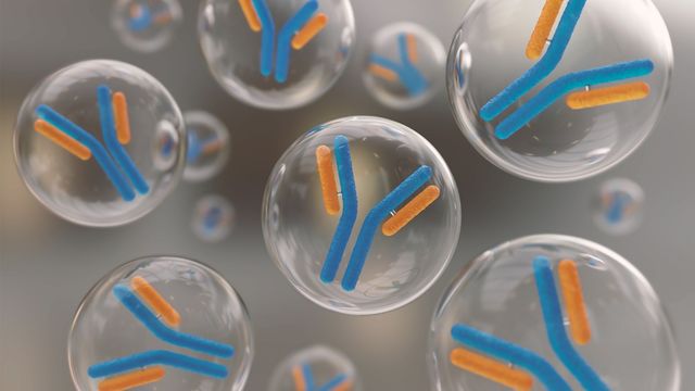 Blue-orange antibody icons in transparent droplets illustrating antibody purification for LC-MS. 