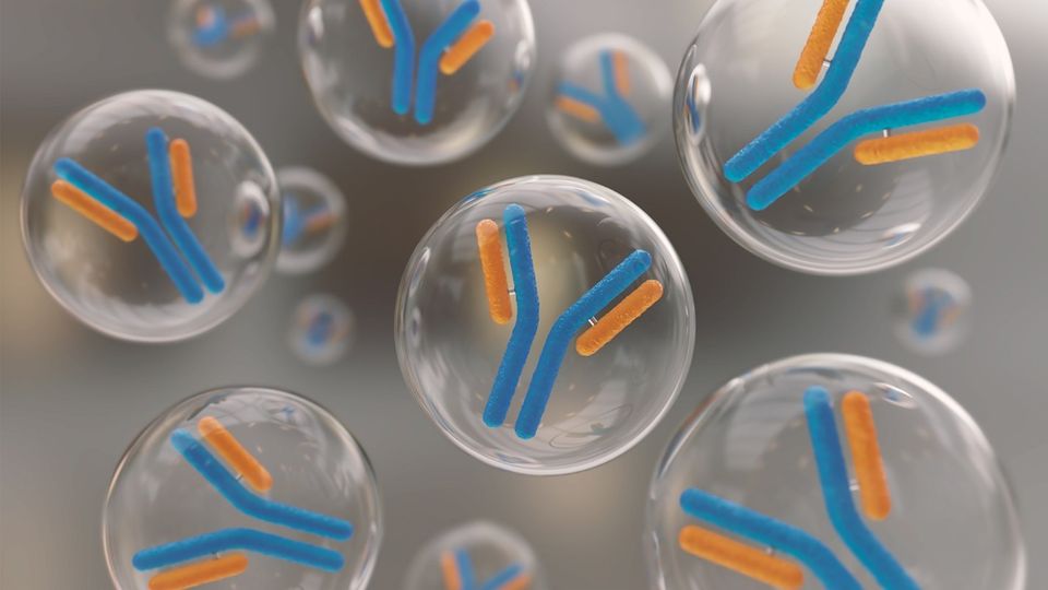 Blue-orange antibody icons in transparent droplets illustrating antibody purification for LC-MS.