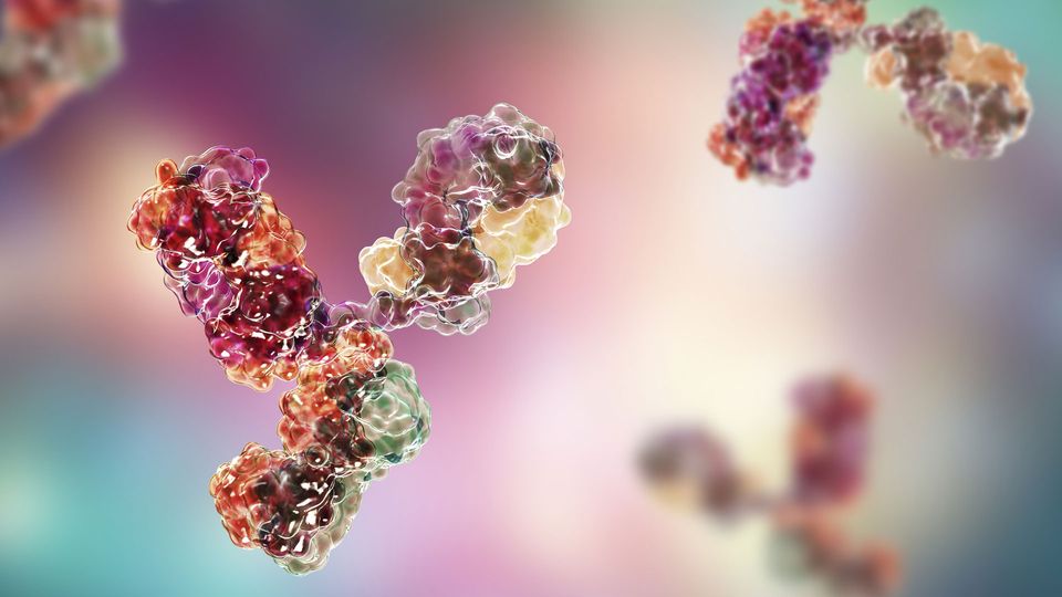 Illustration of an antibody.