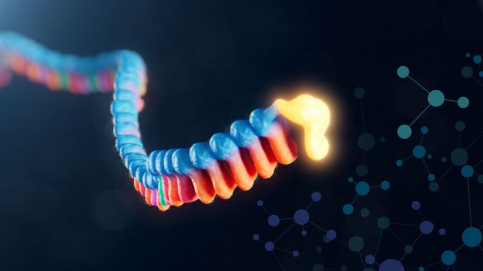 3D illustration of blue and white protein structures representing enhanced protein expression through Poly(A) innovation.